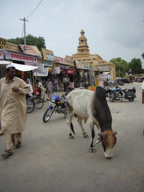Travel - India - Rajasthan - Jaisalmer - Market Square